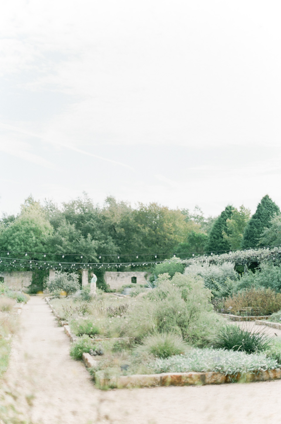 austin-family-photos-motherhood-film-photographer-lady-bird-wildflower-session-3