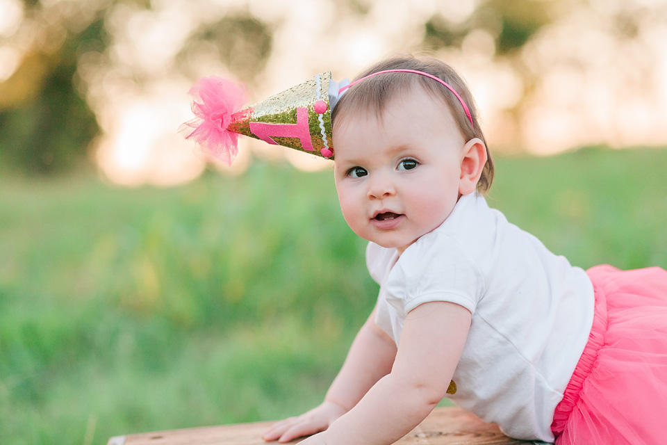 round-rock-family-photographer-old-settlers-park-austin-texas-one-year-birthday-portraits-pink_3